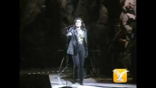 Luz Casal, Un pedazo de cielo, Festival de Viña 1993