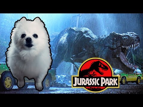 JURASSIC PARK em CACHORRÊS