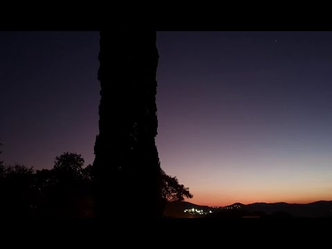 Stanley Clarke N 4Ever, San Francisco (2023)