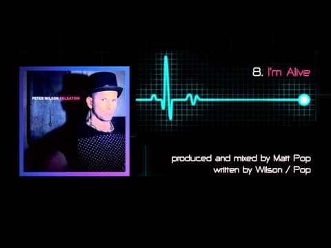 Peter Wilson - Pulsation: 15 track album sampler