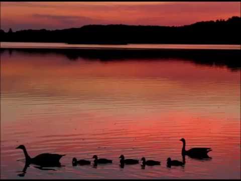 Karel Gott - Zeit zu gehn