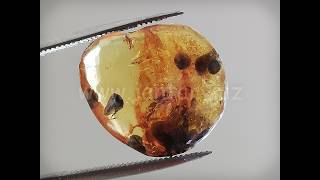 Druhohorní jantar z Myanmaru BJ-11