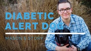 Diabetic Alert Dog: Mason's Story