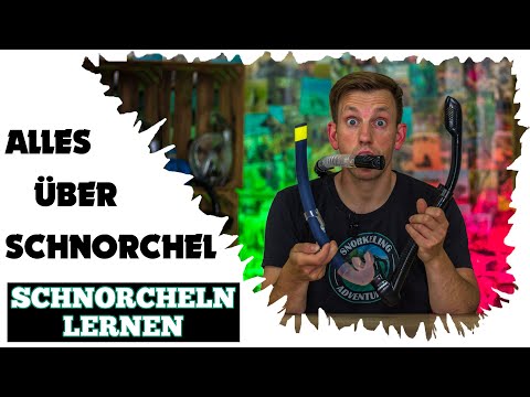 Everything you need to know about snorkeling! • Learn to snorkel