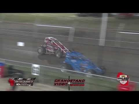 Wingless Feature 2 from 30 June 2020