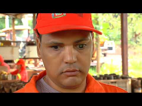 SagresTV: Matrícula de deficiente visual por sistema de cotas é negada na UFG; entenda