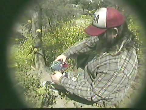 VERIDIS - LifeIsPretty