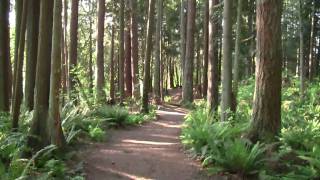 preview picture of video 'Great Park in Lake Stevens  Washington-  The Evergreen State'