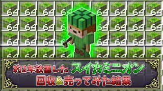 【スカイブロック】約２年放置したスイカミニオン回収＆売ったらとんでもないことにｗ【マインクラフト】