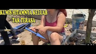 Download lagu mancing ambyar TIBA TIBA JORAN MELIUK DAN IKAN MONSTER mp3 Download lagu mancing ambyar TIBA TIBA JORAN MELIUK DAN IKAN MONSTER mp3