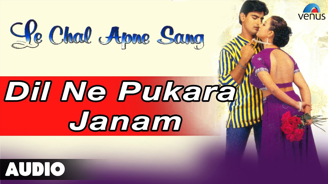 Dil Ne Pukara Janam Aa Gaye Hum Lyrics | Le Chal Apne Sang | Udit Narayan, Alka Yagnik | Ram Laxman