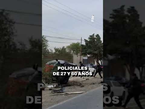 Neuquén: un conductor alcoholizado chocó de frente y mató a dos policías
