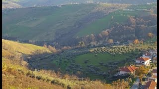 preview picture of video 'Небольшой участок земли с оливковыми деревьями - Cellino Attanasio, Абруццо'
