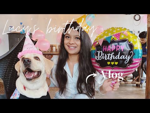 My dog's 1st Birthday celebration!!! with  her friends | #Lucy's 🎂 Birthday | HBD Vlog-27 | #Anshika