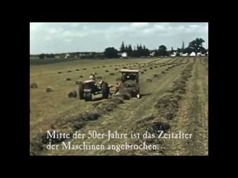 Geschichten aus Gols - Heuernte