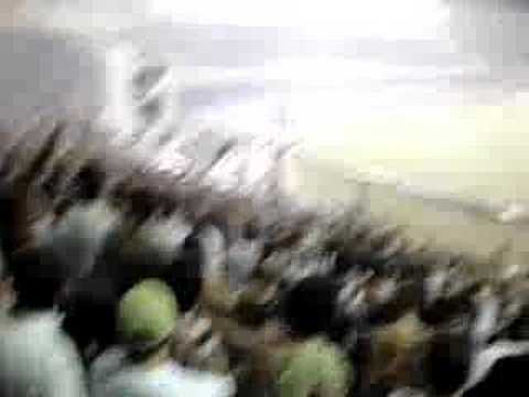 Fúria Jovem (Botafogo 4x4 Vasco) 11/04/2007