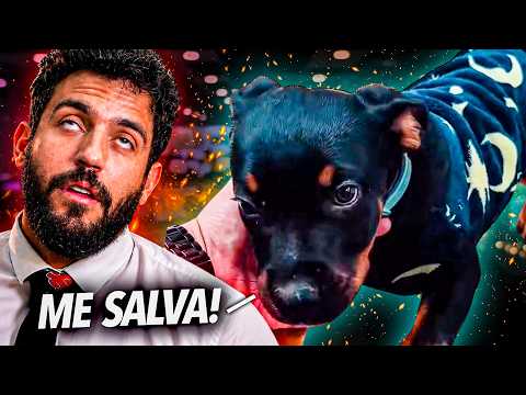 Vídeo 2