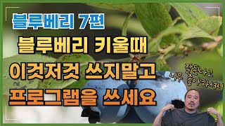 2025년) 이대로만 사용! 블루베리 시비프로그램 꼭 확인하세요 이것저것 쓰다보면 뭘 쓴지도 모르는 농부 필…