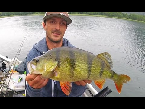 Der Ossiacher See - Großbarsch, Zander, Hecht inkl. Blitzeinschlag