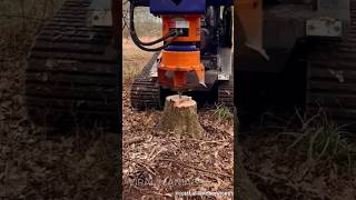 This Attachment Can Remove Stumps In seconds #satisfying #shortsfeed #shorts