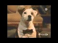 Wishbone: Bark to the Future Part 1
