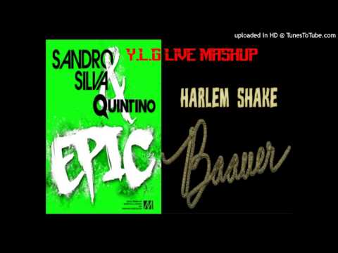 Sandro Silva Vs Baauer- Epic Harlem Shake (Y.L.G Live Mashup) (FREE DOWNLOAD)