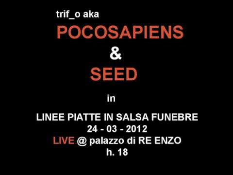 LINEE PIATTE IN SALSA FUNEBRE [preview] ...trif_o aka Pocosapiens & SEED