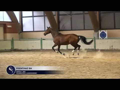FEENTANZ BK