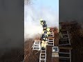 Honden uit brandende woonboerderij gered | Shorts