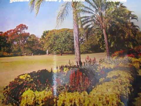 PASACALLES DE LA VIEJA GUARDIA #6,- APASIONADAMENTE/PRIMOROSA/MUJER DIVINA ...