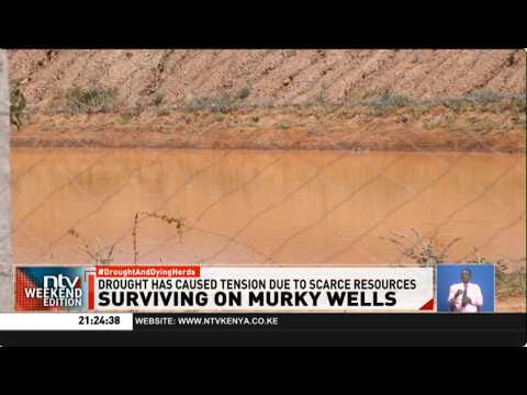 Mwingi Central residents lean on indigenous wisdom to survive the ongoing drought