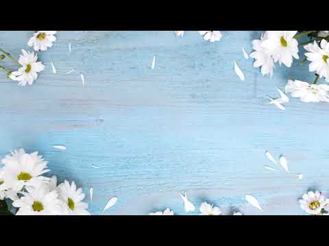 113. Consuelo (Audio) | GCNTV Col - Dr. Jaerock Lee - Manmin Perú