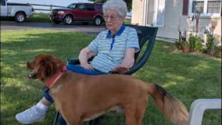 Bobbie C  - The Hand That Rocks The Cradle