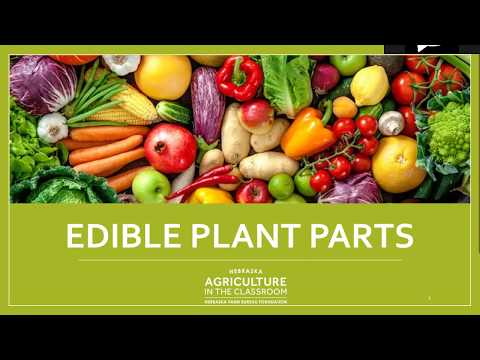 Edible Plant Parts
