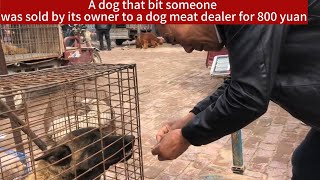 A dog that bit someone was sold by its owner to a dog meat dealer for $120