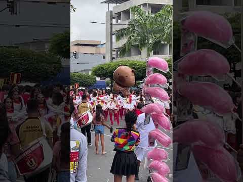 Desfile de buenafe 2025