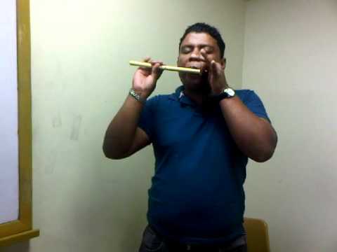flauta de millo /MIGUEL ANGEL ROMERO/ la aurora