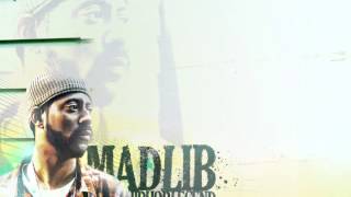 Madlib - Track 16