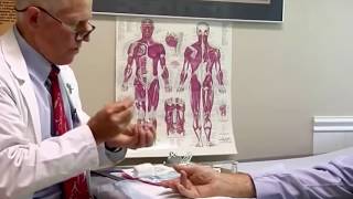 Web Video: Atlantic Orthopaedics & Sports Medicine