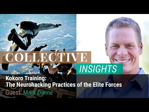 Clip from Kokoro Training The Neurohacking Practices Of The Elite Forces with Mark Divine