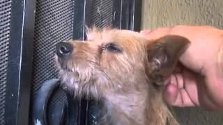 It was like this God found us