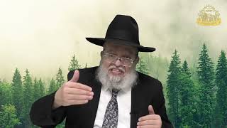 דף היומי בחצי שעה – מסכת זבחים דף נ"ט HD (מוסדות כיסא רחמים) - התמונה מוצגת ישירות מתוך אתר האינטרנט יוטיוב. זכויות היוצרים בתמונה שייכות ליוצרה. קישור קרדיט למקור התוכן נמצא בתוך דף הסרטון דף היומי בחצי שעה – מסכת זבחים דף נ"ט HD (מוסדות כיסא רחמים) - התמונה מוצגת ישירות מתוך אתר האינטרנט יוטיוב. זכויות היוצרים בתמונה שייכות ליוצרה. קישור קרדיט למקור התוכן נמצא בתוך דף הסרטון