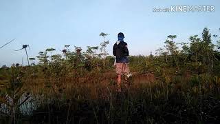 Download lagu Lagu wong mancing mp3