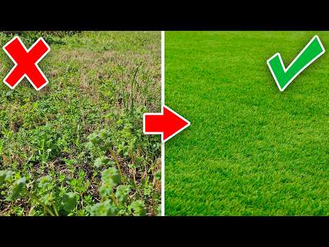 Spring Lawn Care Tips For Bermuda Grass RESULTS
