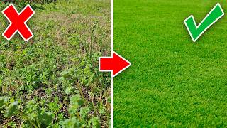 Spring Lawn Care Tips For Bermuda Grass RESULTS