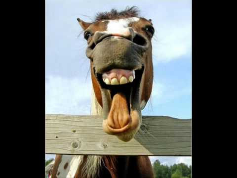 Oração pra fechar o corpo com bom humor! - Lygia Victoria Pinheiro de Aguiar