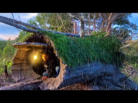 Building a Warm and Cozy Hollow For Survival, in the root of a fallen acasia. Secret cave, Bushcraft