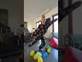 VERA E VIOLA Buon Anno Nuovoooohh