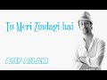 Tu Meri Zindagi Hai || Atif Aslam || Aashiqui || New Song 2024