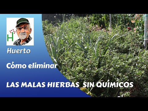 How to remove weeds without using chemicals